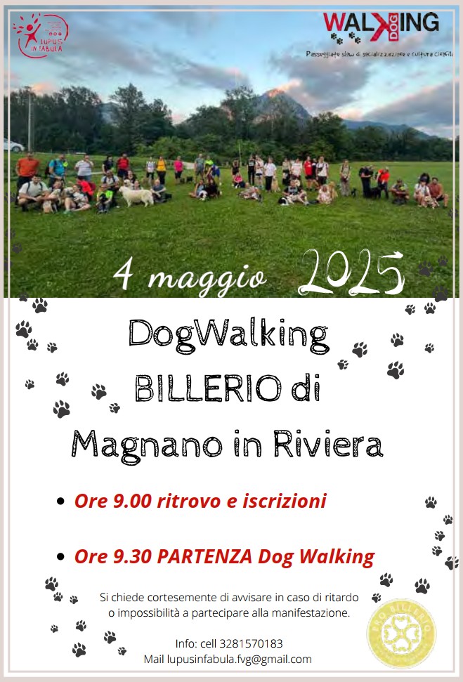Dog walking