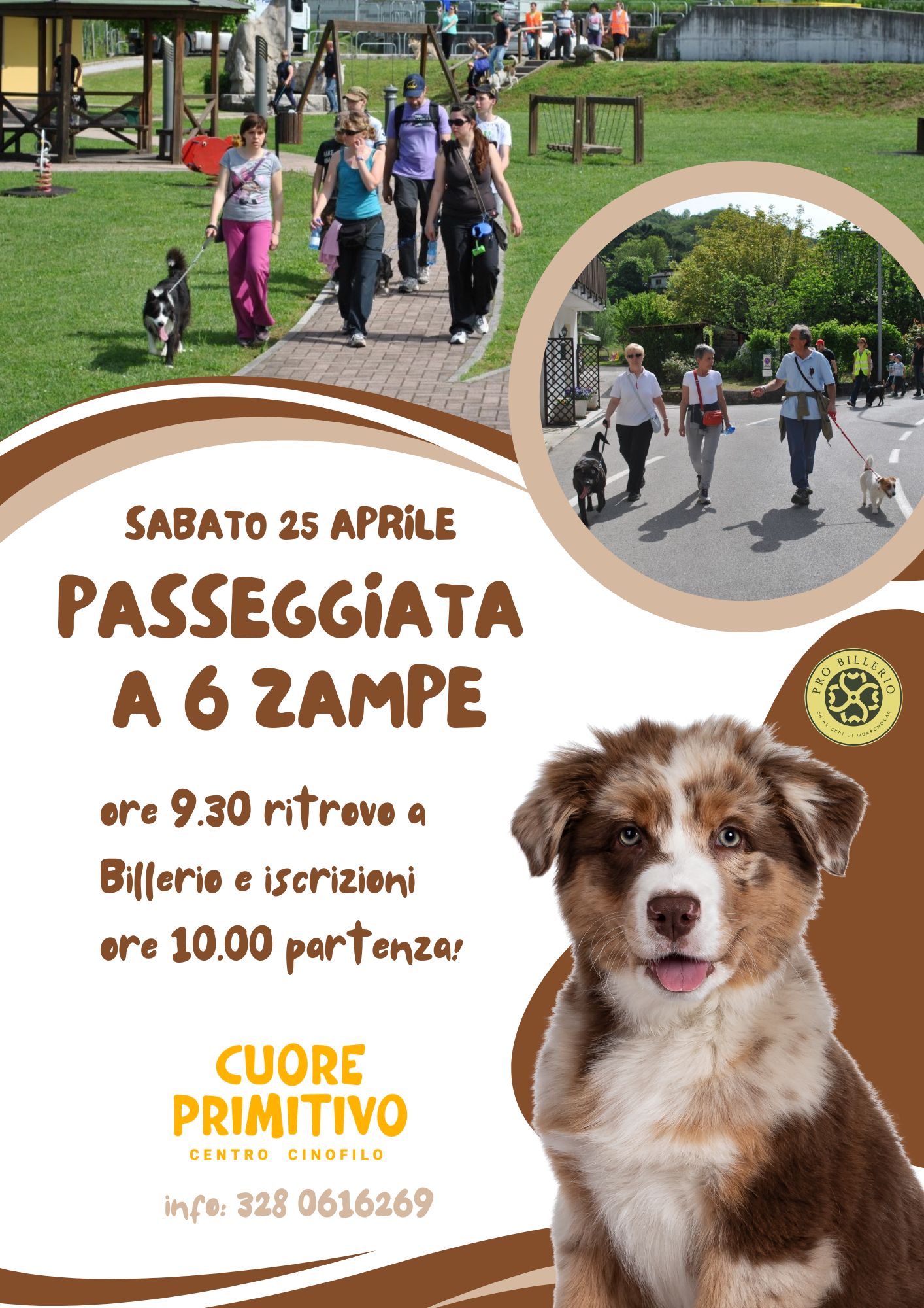 Passeggiata a sei zampe